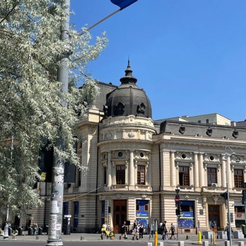 1579ac828db694c8c008ee5e163562d2