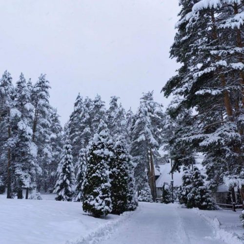 263430402_424930715682105_3521885295748529294_n