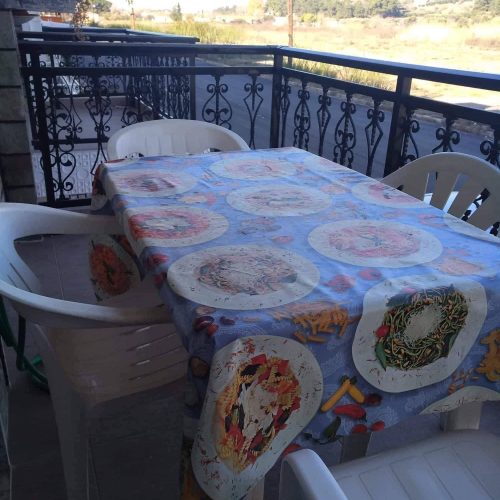 310785477_3320127528264327_757316786120823001_n-1