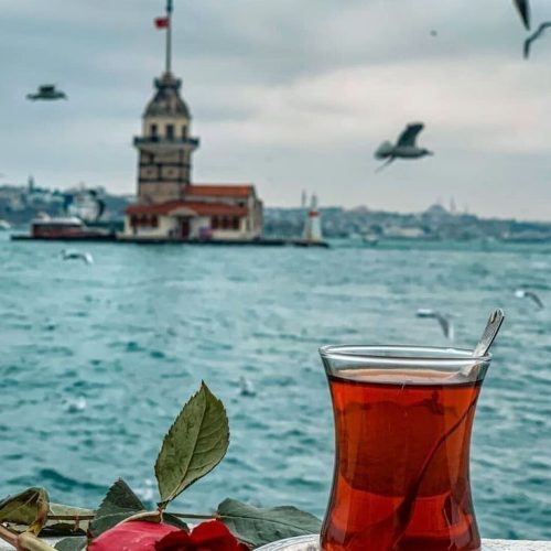 3fab2cc5babc30cbfdf2bdf7592e7b76