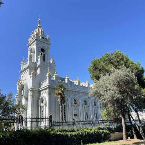 571199873_1313782534127039_9221836286304764446_n