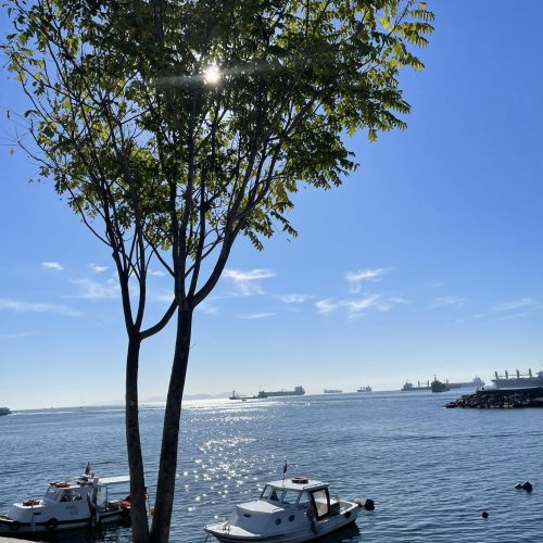 573972673_1313782327460393_2213431367098432953_n