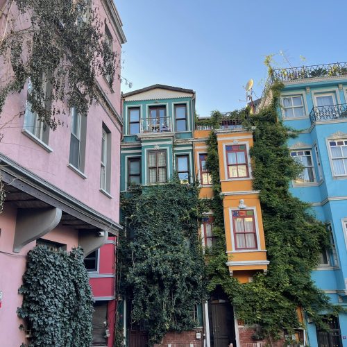 574036835_1319128240259135_3660838726152818424_n