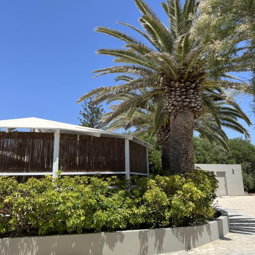 586400890_1339860958185863_1204035414123138297_n