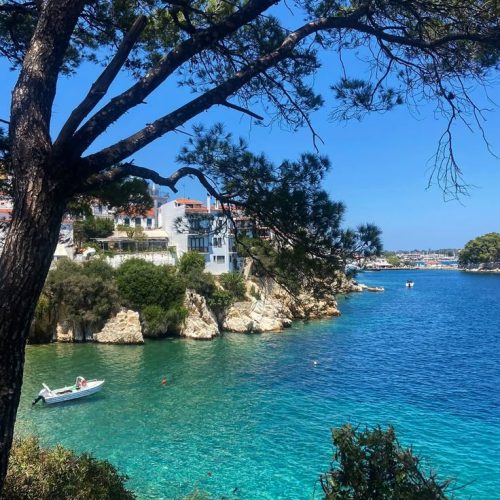 a253364348cc6360382be35de0d92d6b (1)