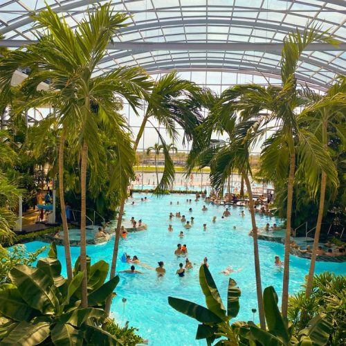 c8061e11823d063f7e386afebdda2a83