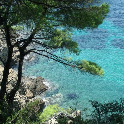 martin-king-ZILXZ9mFYew-unsplash