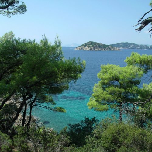 martin-king-iWoVH7WxNiI-unsplash