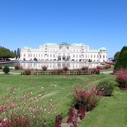 viber_image_2025-09-20_14-22-16-407