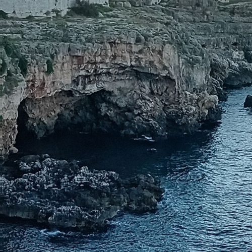 viber_image_2025-11-12_14-16-08-430