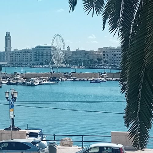 viber_image_2025-11-12_14-18-31-873