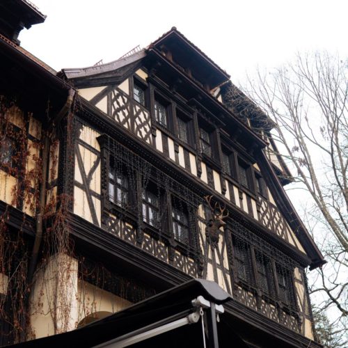 viber_image_2025-12-09_15-45-17-487